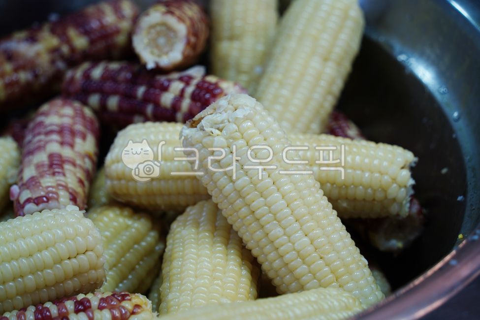 옥수수, 찰옥수수, 야채, 채소, 찜, 사진,이미지,일러스트,캘리그라피 - 횽횽작가