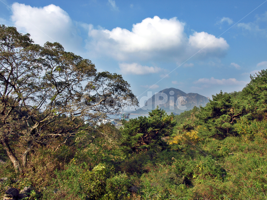 산방산,올레9코스,올레,서귀포시,제주,푸른하늘,안덕면,숲,자연,자연,풍경,nature,landscape,한국자연풍경,한국자연경관,korea nature landscape,제주도,jeju,jeju island,outdoors,옥외,weather,날씨