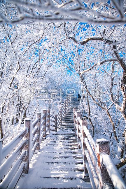 nature,자연,outdoors,옥외,weather,날씨,ice,얼음,난간,겨울,산,계단