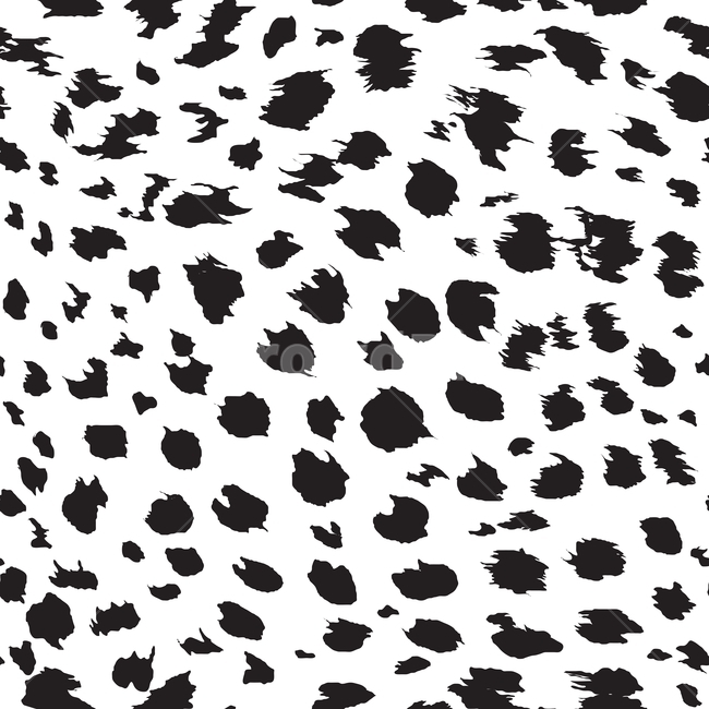 레오파트,표범,치타,동물무늬,패턴,검은,도트,animal,print,skin,leopard,cheetah,cat,black,dot,사파리,safari,퍼,fur,텍스처,질감,패턴,texture,pattern