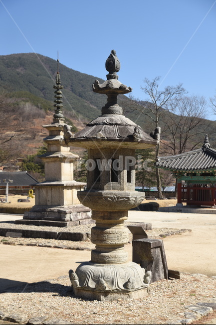 실상사,삼층석탑,석등,문화재,보물,기념물,사찰,절,건축물,temple,architecture,bulding