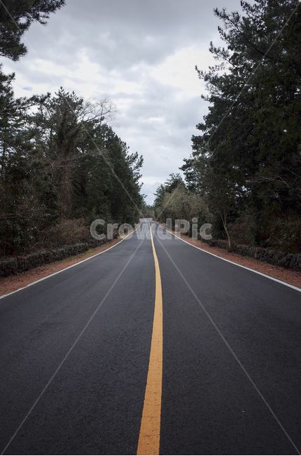 road,도로,asphalt,아스팔트,freeway,highway,고속도로,숲,텅빈도로,길,구름,cloud
