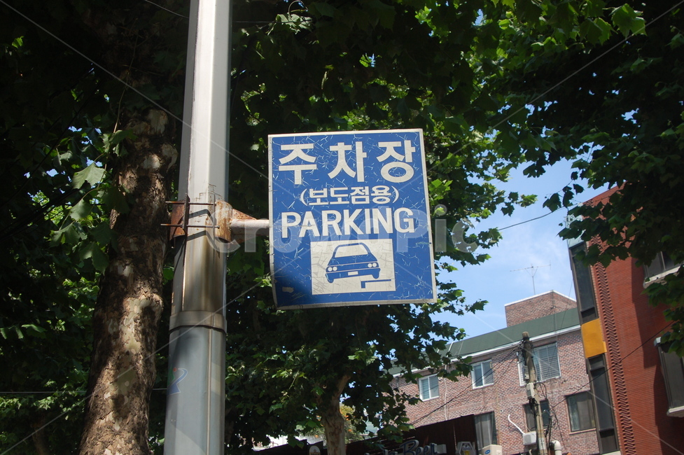 주차장,표지판,parking,주차표지판,자동차