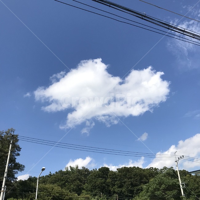 구름,하트구름,쾌청한,맑은하늘,파란하늘,한국하늘,하늘