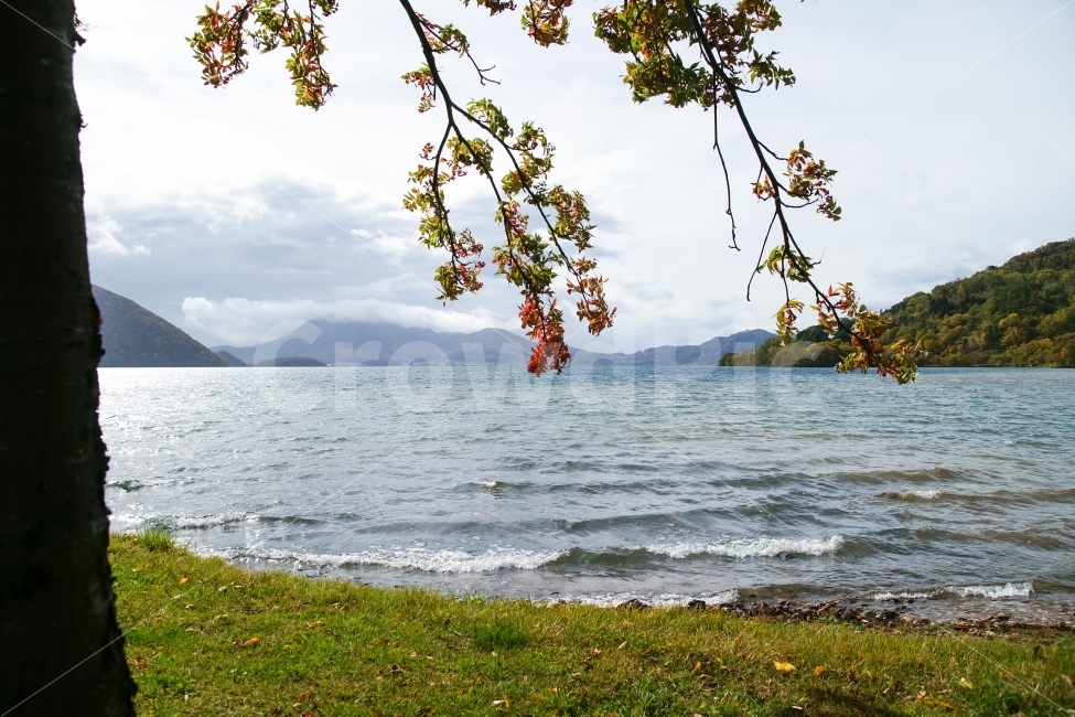 가을,호수,단풍,구름,물,파도,자연,풍경,nature,landscape