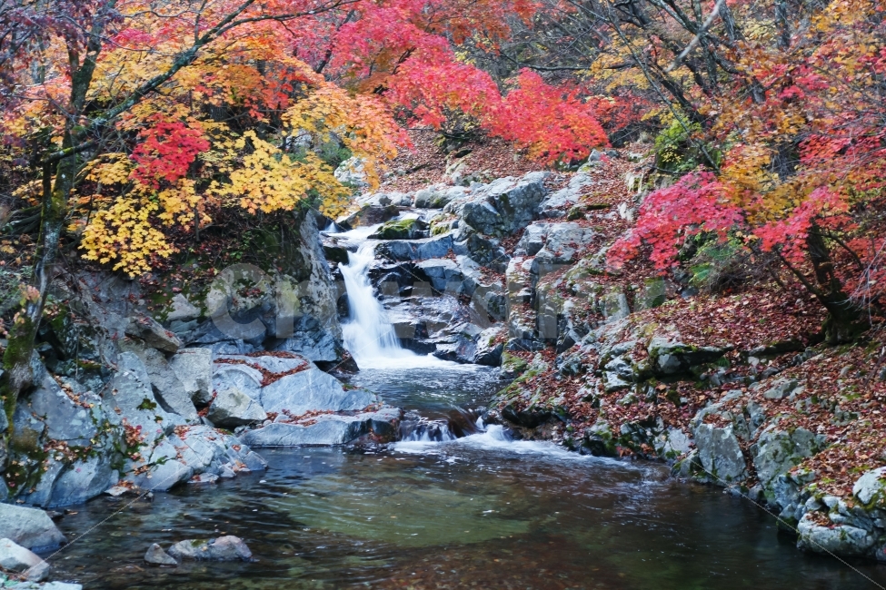 방태산,가을,단풍,계곡,물,나무,산,강원도,가을,계절,fall,autumn,season,자연,풍경,nature,landscape,한국자연풍경,한국자연경관,korea nature landscape,water,outdoors,옥외