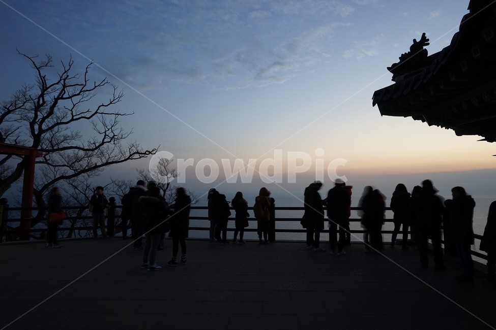 향일암,겨울,기와,나무,바다,사찰,실루엣,인간,사람,person,silhouette,일출