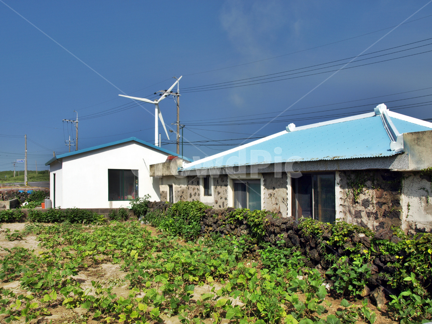 wind generator,Olle,field,Jeju,private house,stonewall,Olle Course 20