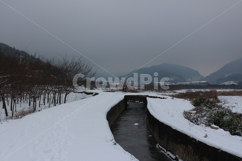 눈,겨울,겨울풍경,겨울아침,계절,풍경,분위기,색감,landscape,winter,snow,snowing