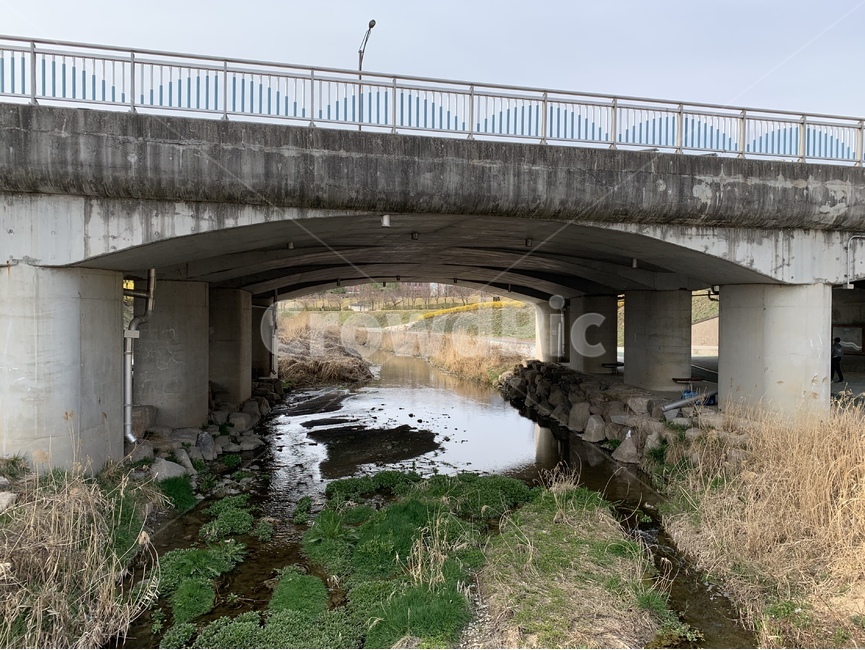 bridge,다리,overpass,고가도로,개천,하천,다리밑,road,도로