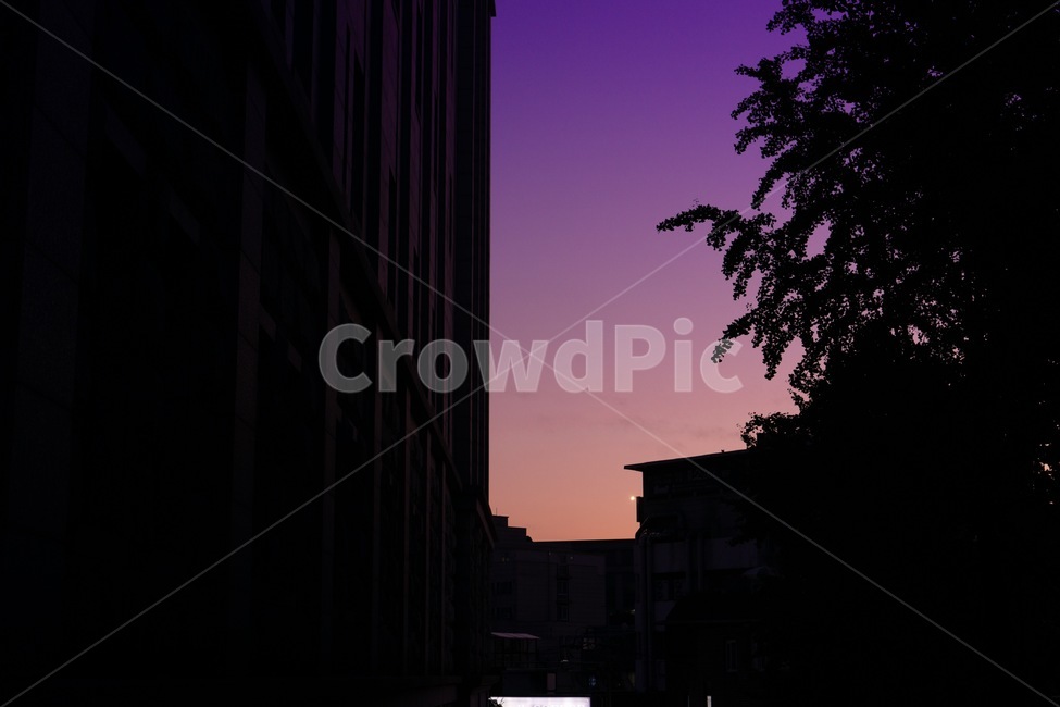하늘,실루엣,보라색,보라,분홍,석양,그림자,어두움,실루엣,그림자,silhouette,shadow,색깔,색상,색채,색감,color sense,color sensitivity,feeling of color