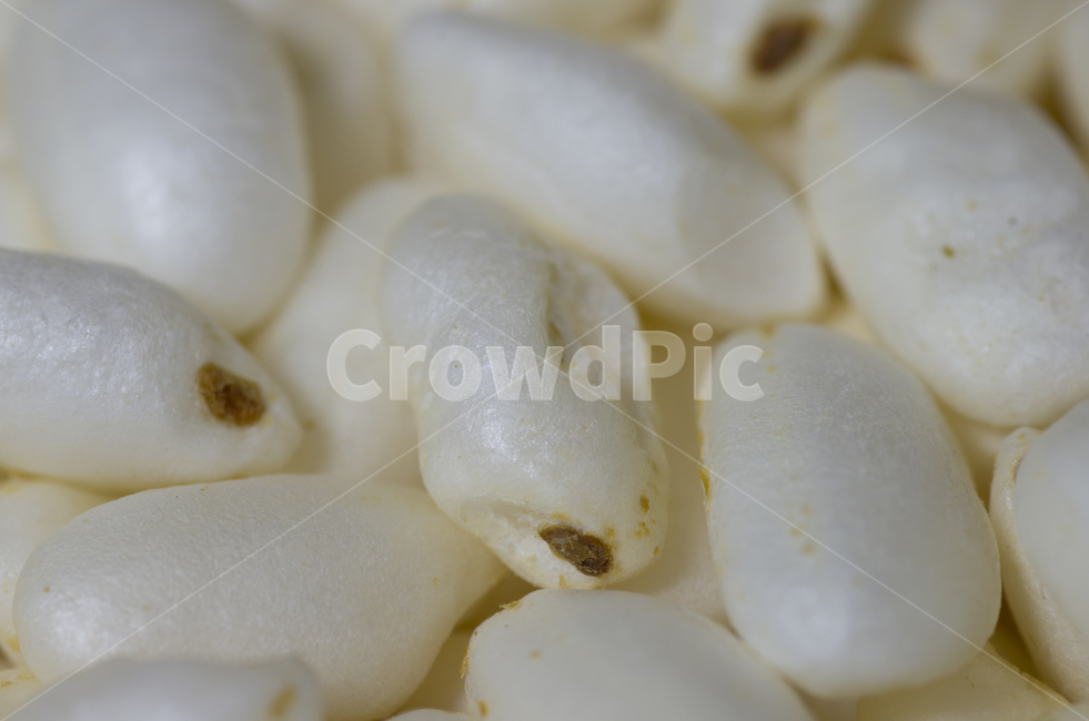뻥튀기,쌀,접사,티눈,매크로,beauty,macro,closeup,확대,pop,rice,튀밥,과자,감성,자연,클로즈업,미니