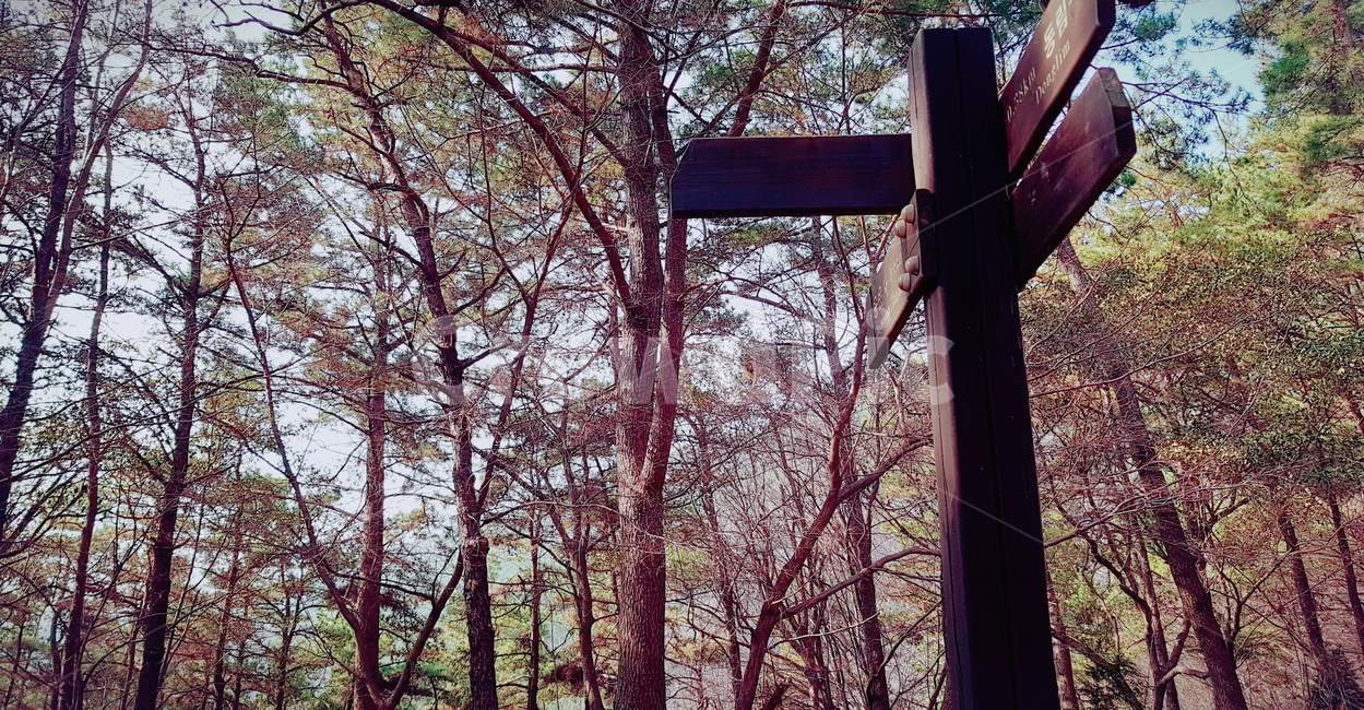 이정표,산,나무,힐링,조용,방향,햇빛