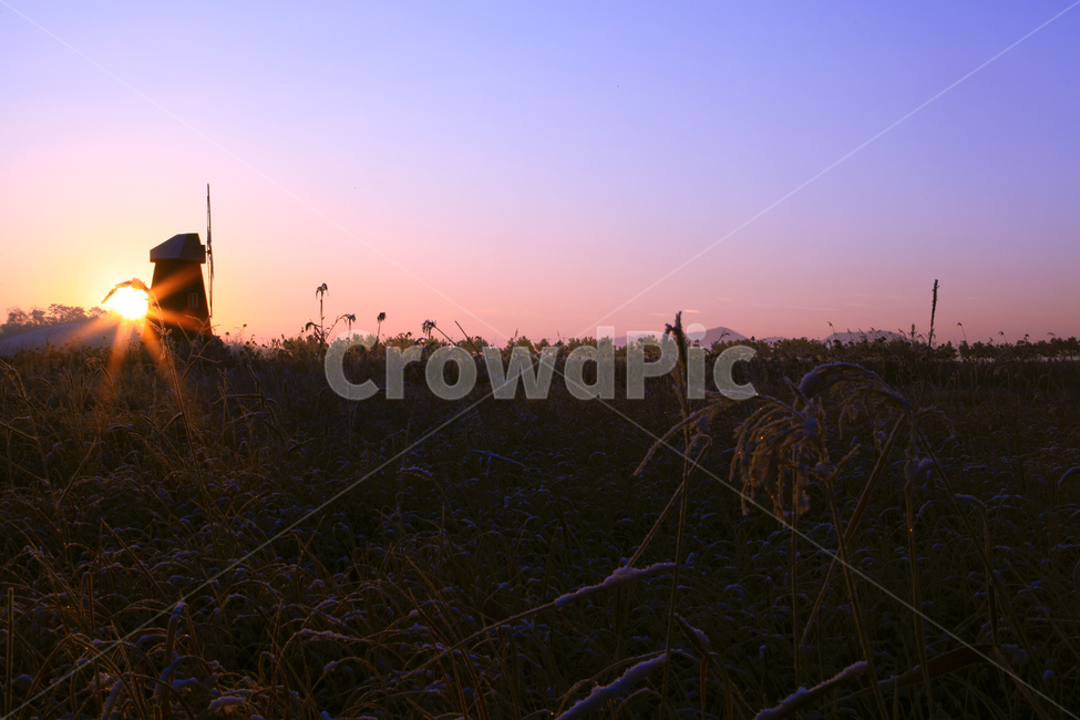 일출,상고대,풍차,여명,눈,갈대,자연,겨울,계절,winter,season,자연,풍경,nature,landscape,한국자연풍경,한국자연경관,korea nature landscape,outdoors,옥외