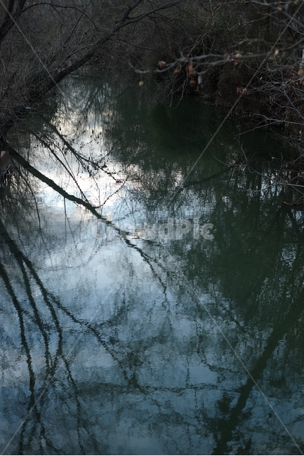 그림자,물,어두움,나무,반사,자연,풍경,nature,landscape,outdoors,옥외,land,땅,water