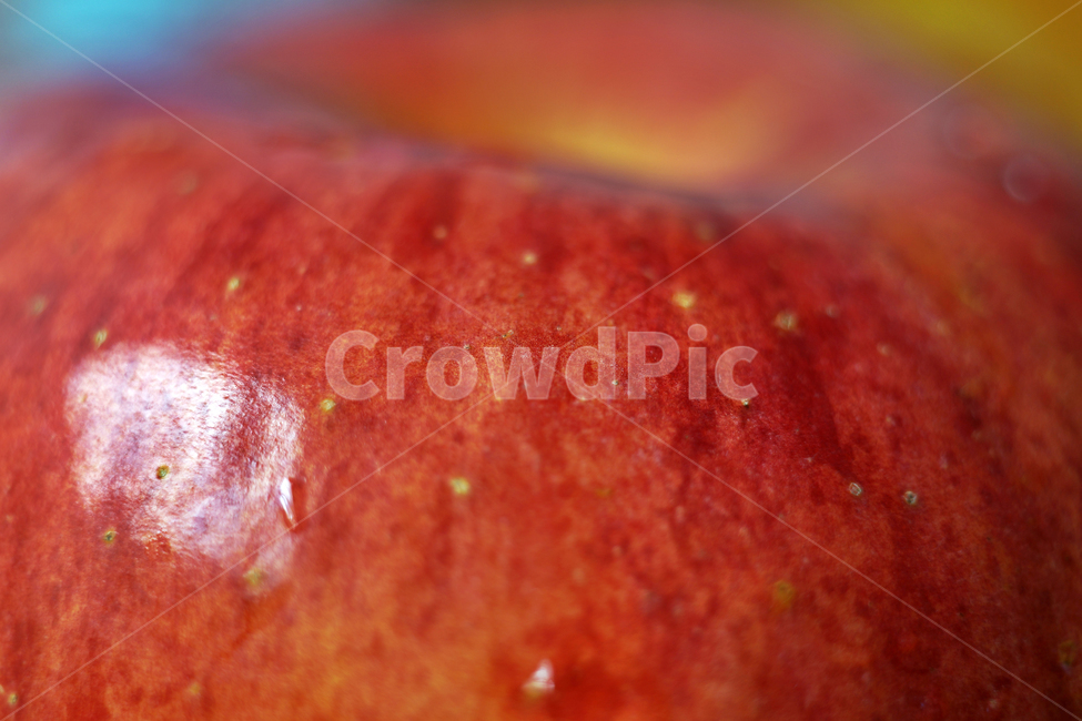 사과,과일,열매,식물,apple,fruit,음식,부사,빨간사과,과일,열매,fruit