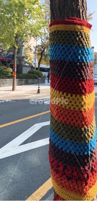 person,사람,human,인간,나무,따듯함,tree
