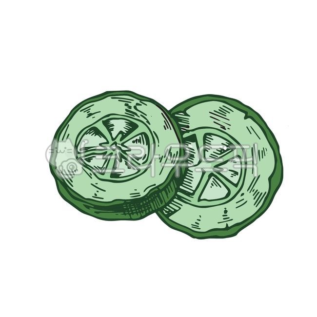 cucumber drawing,hand drawing,cucumber,vintage,retro,recipe,Cucumber preparation,cooking ingredients,pen drawing