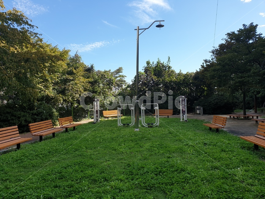 공원,잔디,식물,운동기구,의자,벤치,가로등,grass,plant,lawn,chair,bench,health