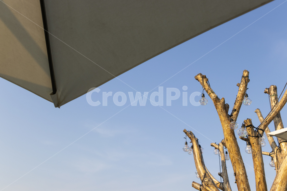 Byeolnae,atmosphere,heat,parasol,day off,winter,cold,branch,weekly,summer,White space,vacation,sky,rest,gyeonggido,bulb,tree,shade,nasal discharge,dinner,outdoor,afternoon,Namyangju,korea,Terrace,cafe,scrawny,blue,light,outside