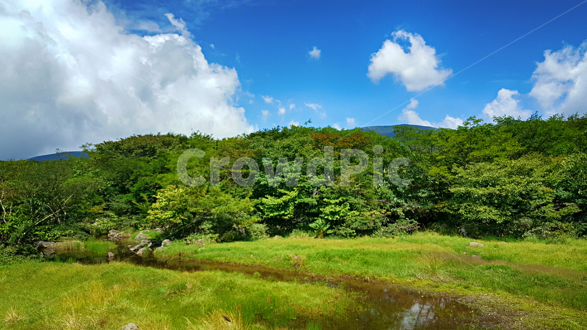 제주도,한라산,1100고지,한라산풍경,1100고지풍경,산,nature,자연,옥외,outdoors,자연,풍경,nature,landscape