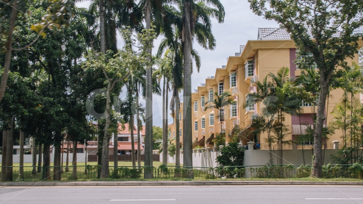 여름,싱가포르,나무,풍경,감성,야자수,초록,거리,도로,singapore,road,도시,풍경,city,landscape,해외,외국,세계,foreign,oversea,world,감성,sensible,feeling,outdoors,옥외,garden,정원