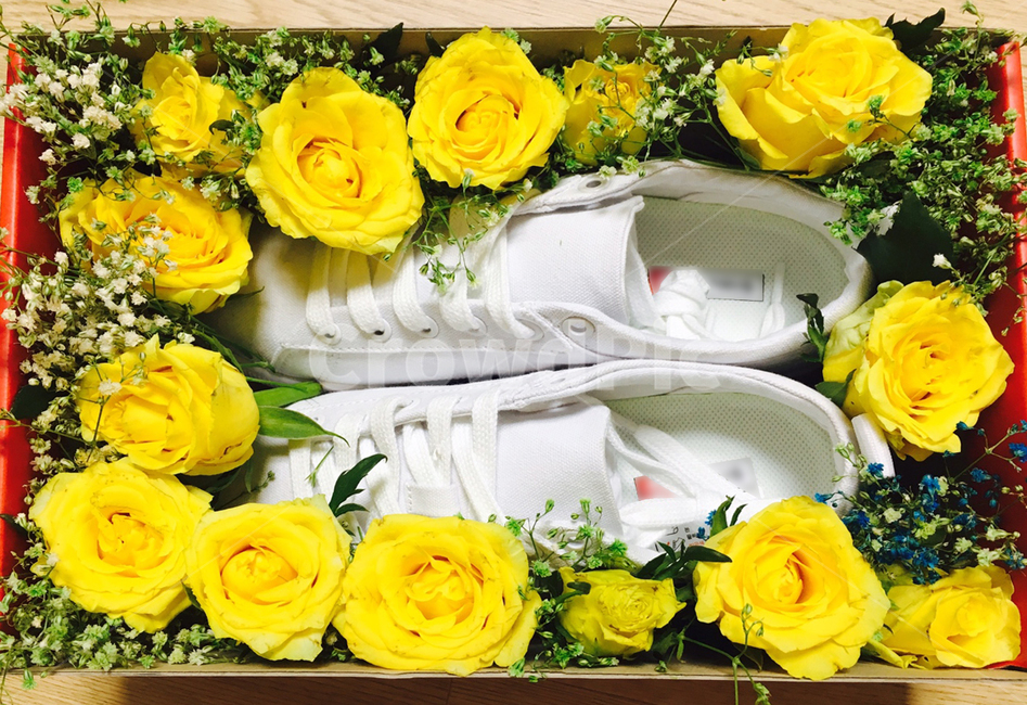 flower,꽃,선물,신발,장미