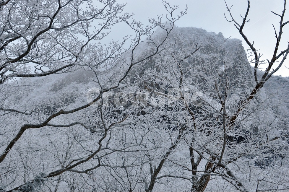 겨울,한라산,겨울산,눈,눈꽃,산,겨울풍경,풍경,제주,겨울제주,설산,snow,landscape,winter,하얀,white,자연,겨울배경,눈세상,겨울,계절,winter,season,자연,풍경,nature,landscape,outdoors,옥외