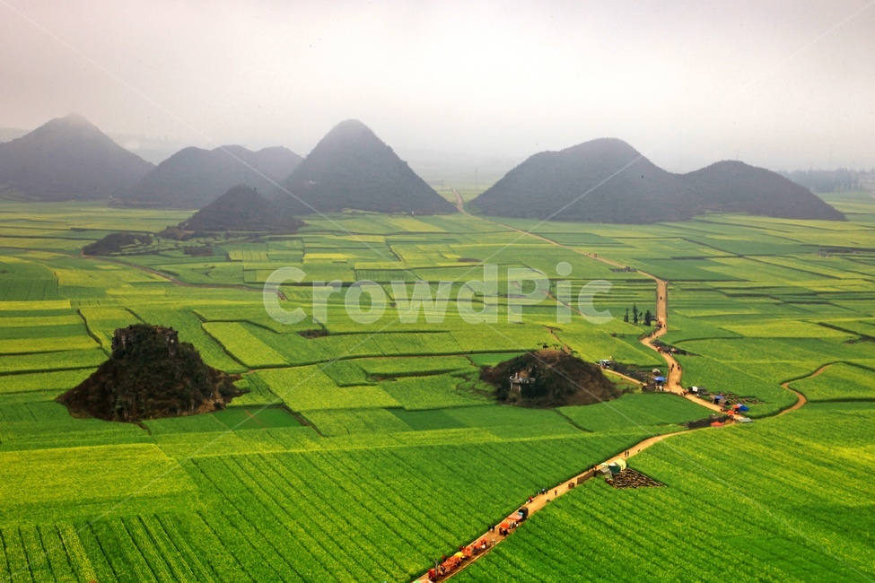nature,자연,outdoors,옥외,field,들,grassland,목초지,중국,운남성,나평,나평유채꽃,중국비경,농경지,농업,농사,관광지,유채꽃,유채밭,자연,풍경,nature,landscape,해외,외국,세계,foreign,oversea,world,세계자연풍경,해외자연풍경,외국자연풍경,world nature landscape