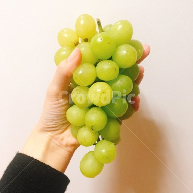 샤인머스캣,과일,설정,청포도,신선한,음식,식재료,요리,food,cook,meal,dishes,food reserves,과일,열매,fruit