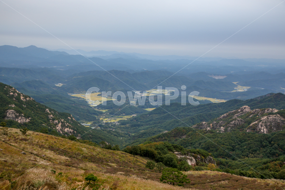 갈대,가을풍경,황매산,합천명소,경남명소,황매산갈대,합천군,가을,계절,fall,autumn,season,자연,풍경,nature,landscape,한국자연풍경,한국자연경관,korea nature landscape,slope,경사,outdoors,옥외,mountain,산,mountain range,산맥