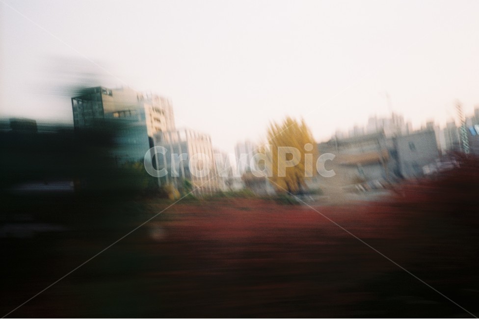 감성사진,열차,필름카메라,감성샷,지하철,도시,풍경,city,landscape,tree,나무,plant,식물