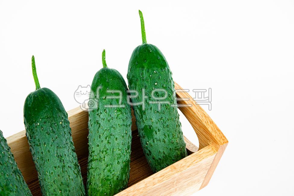 채소,오이,농산물,농작물,농업,재배,수확,다수,음식재료,초록색,미니오이,피클오이