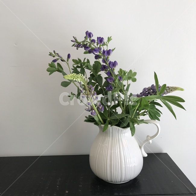 꽃,꽃병,꽃꽂이,싱그러운,fresh,flower,florist,식물,감성사진,일상,daily,lupine,루피너스