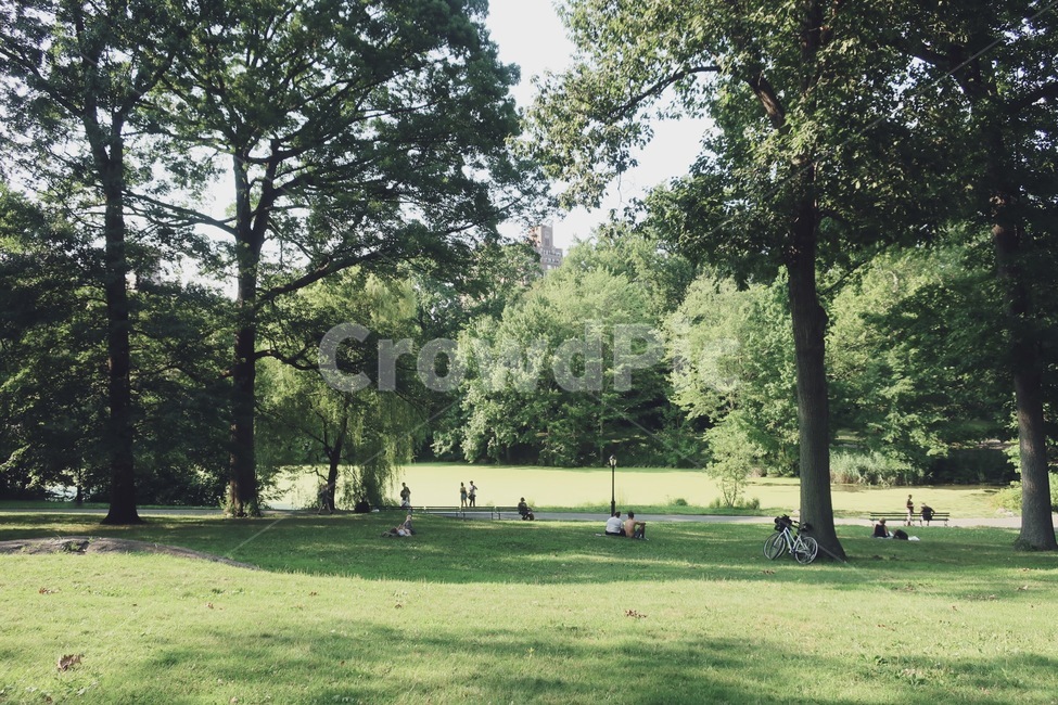 뉴욕,미국,맨하탄,newyork,manhattan,usa,자연,풍경,nature,landscape