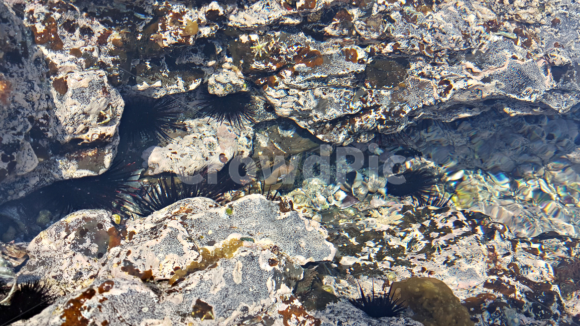 바다,water,물,해변,rock,록