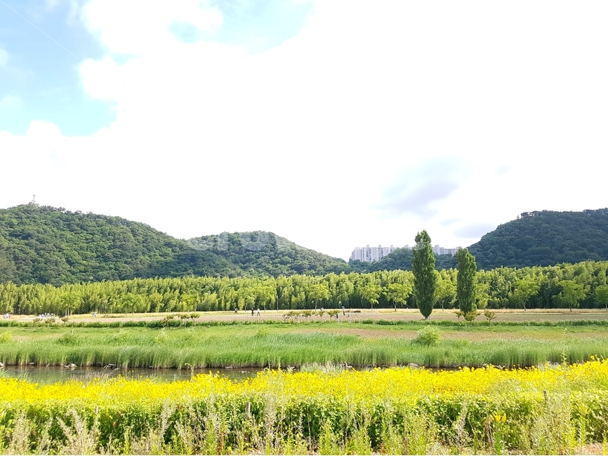 봄,자연,강변,공원,수변,푸른,자연,풍경,nature,landscape,outdoors,옥외,grassland,목초지,field,들,farm,농장,rural,농촌