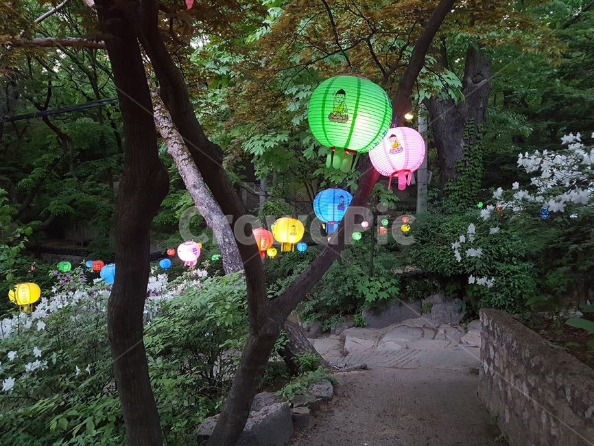 연등,길상사,초파일,절,석가탄신일,부처님