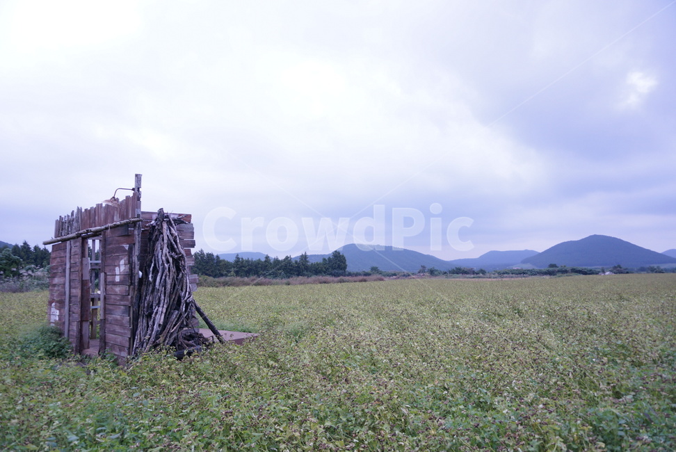 제주,korea,drama,dokkaebi,jejuisland