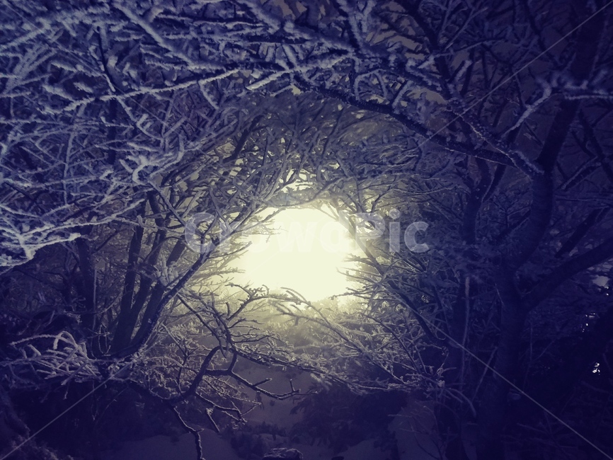 한라산,제주,일출,겨울산,설경,백록담,눈꽃,운해,겨울,겨울등산,등산,하얀,푸른,배경,새해,일출산행,산행,겨울,계절,winter,season,자연,풍경,nature,landscape,flare,플레어,light,빛