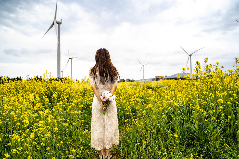 제주도,유채꽃,셀프웨딩,꽃,하늘,신부,예비신부,목초지,식물,자연,plants,nature,꽃,flower,사람,인물,인간,human,person,여성,여자,woman,female,lady