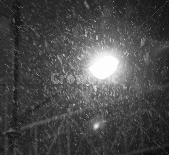 겨울,눈,가로등,밤,야경,winter,snow,streetlight,night,nightview,lighting,조명,겨울,계절,winter,season