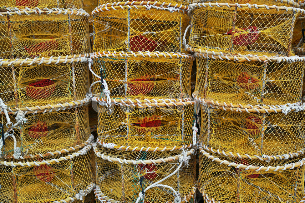 어망,어구,고기잡이,그물,어업,바다,어업,fishery,fishing industry