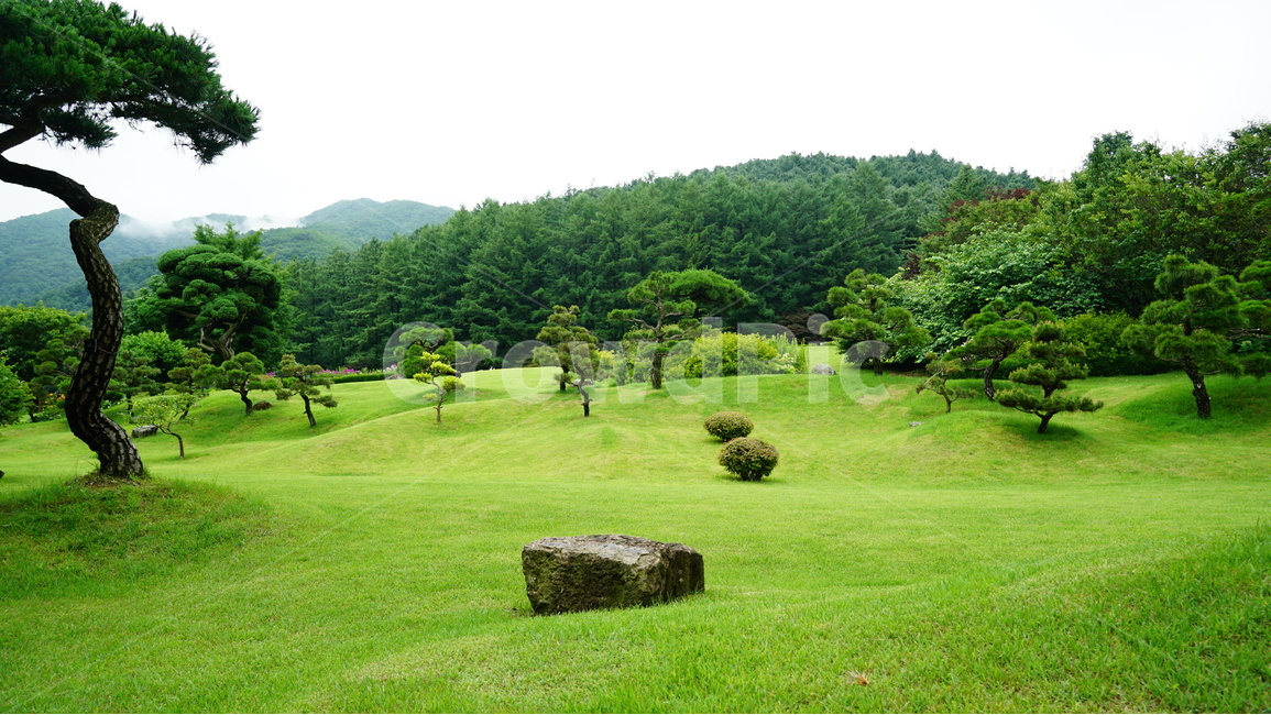 가평,숲,풍경,아침고요,수목원,자연,풍경,nature,landscape,field,들,outdoors,옥외,grass,잔디,plant,식물