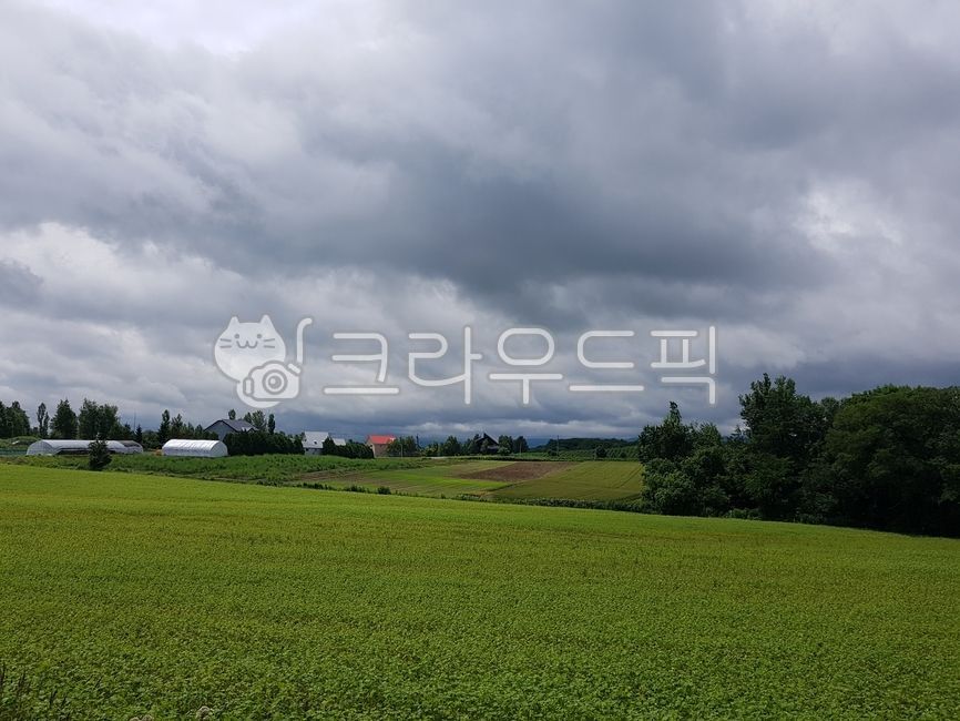 잔디,먹구름,자연,시골풍경,들판,nature,outdoors,푸른,녹색,목초지,구름,흐린하늘,하늘,비구름