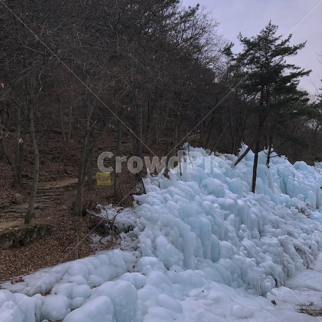 눈,snow,자연,nature,ice,빙
