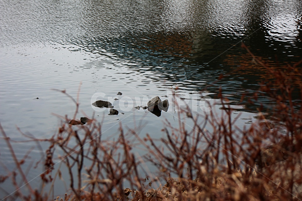 강,water,물,돌,물결,outdoors