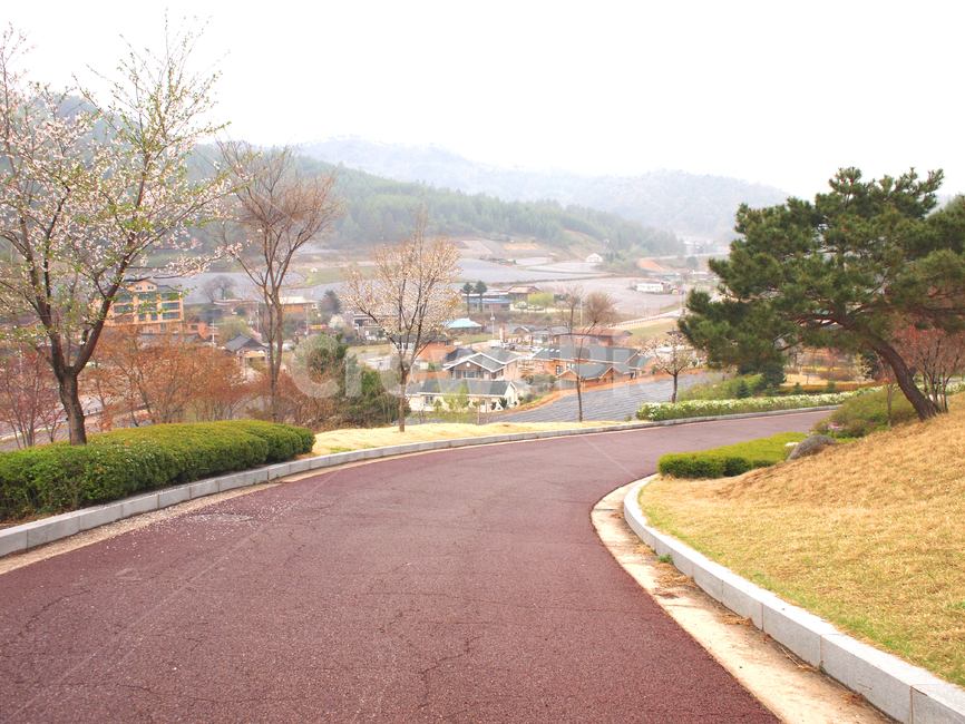 road,도로,asphalt,아스팔트,길,시골길,야외,outdoor