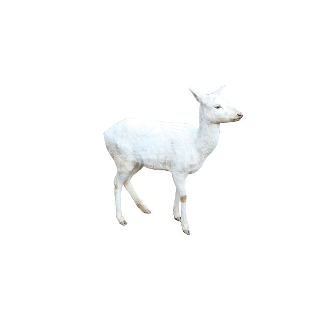 사슴,흰사슴,흰색,하얀색,아이콘,포유류,동물,deer,animal,mammal,동물,animal,포유류,mammal,누끼,remove background