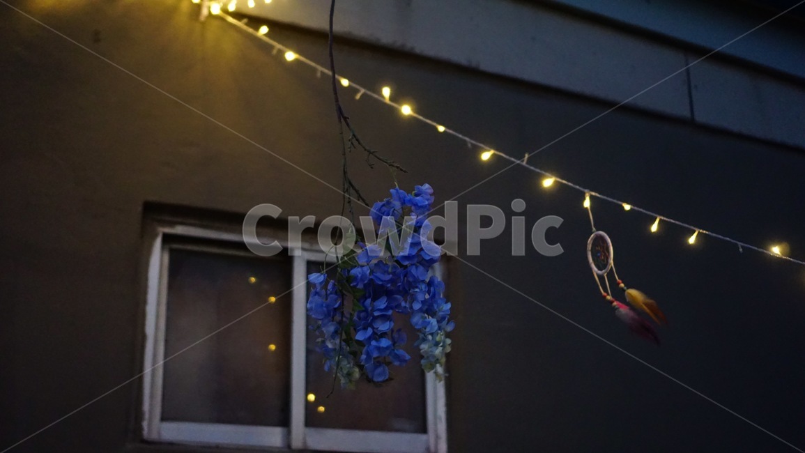전구,드림캐쳐,옥상,꽃,저녁,bulb,miniaturebulb,앵두전구,flower,decoration,flowerdecoration,dreamcatcher,midnight,창문,dream,은은한,저녁바람,wind,evening,breeze,산들바람,rooftop,조명,야경,밤,풍경,nightscape,night,landscape
